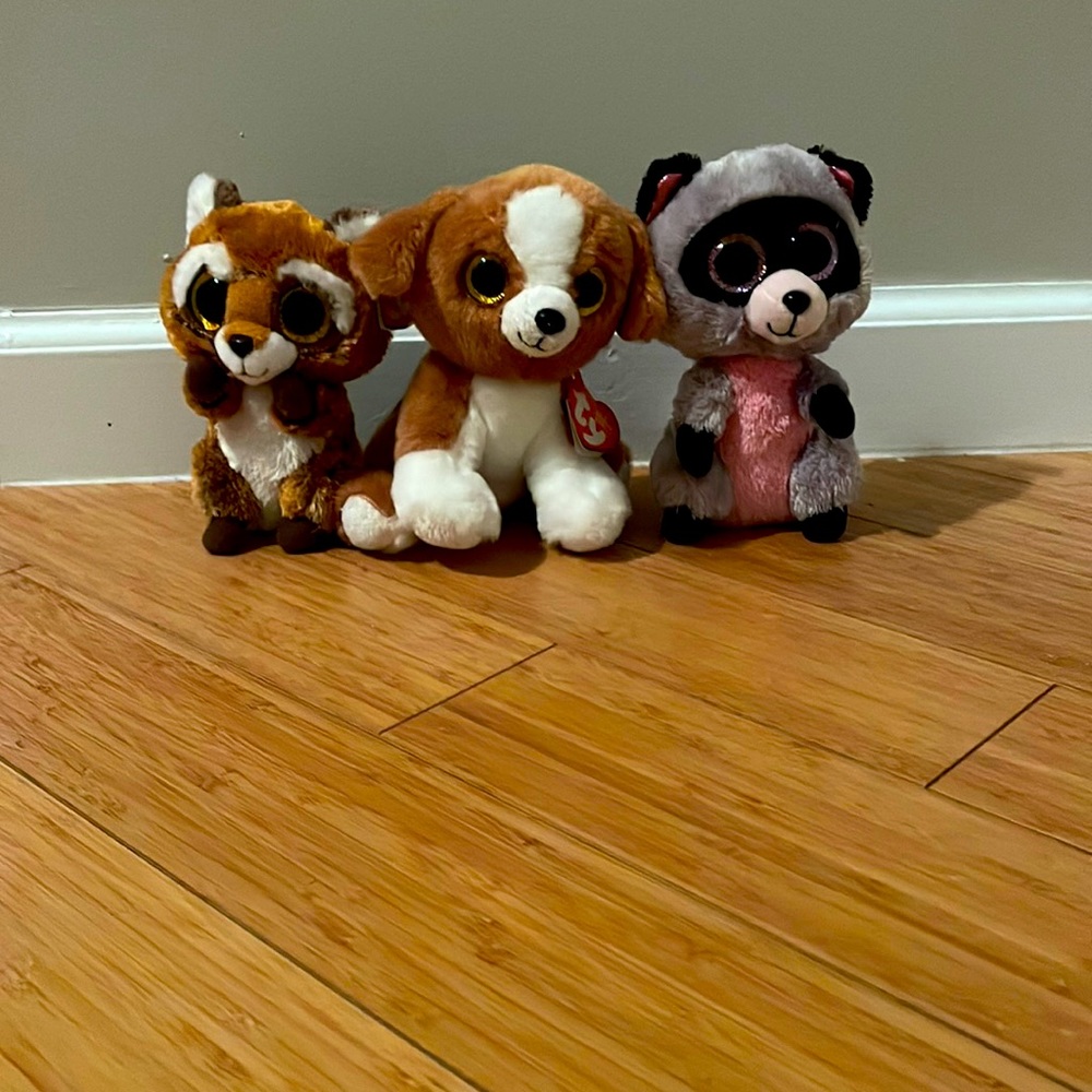 BEANIE BOOS! Raccoon, red panda, dog!  Two have tags. AVAILABLE NOW!
